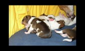 Enlarge photo 16