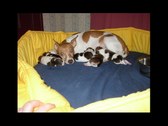 Enlarge photo 19