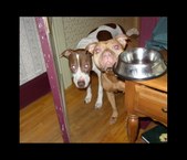 Enlarge photo 20