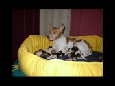 Enlarge photo 21