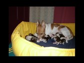 Enlarge photo 22