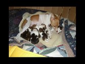 Enlarge photo 4