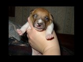 Enlarge photo 8