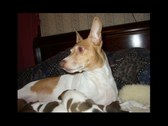 Enlarge photo 9