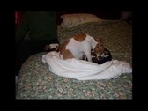 Enlarge photo 23