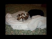 Enlarge photo 13