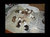 Enlarge photo 3