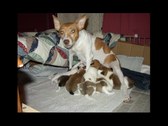 Enlarge photo 13
