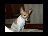 Enlarge photo 14