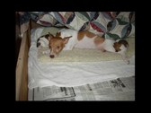 Enlarge photo 22