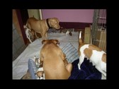 Enlarge photo 1