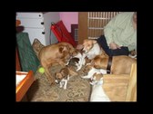 Enlarge photo 11