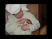 Enlarge photo 12