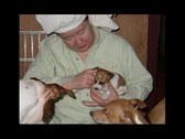 Enlarge photo 14