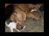 Enlarge photo 19