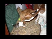 Enlarge photo 20