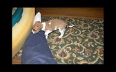 Enlarge photo 22