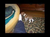 Enlarge photo 23