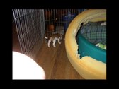 Enlarge photo 24