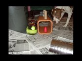 Enlarge photo 8