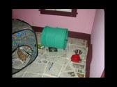 Enlarge photo 17
