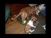 Enlarge photo 21