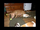 Enlarge photo 22