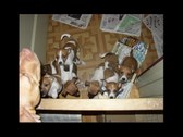 Enlarge photo 24