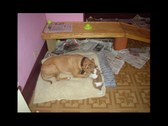Enlarge photo 18