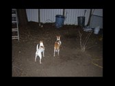 Enlarge photo 14