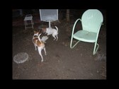 Enlarge photo 16