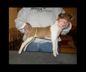 Enlarge photo 19