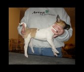Enlarge photo 24