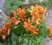 Enlarge photo 18
