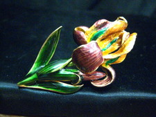 Enlarge photo 33
