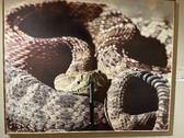 Enlarge photo 918