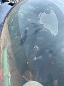 Enlarge photo 1329