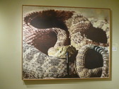 Enlarge photo 235