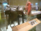 Enlarge photo 241