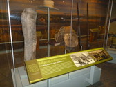 Enlarge photo 249