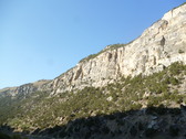 Enlarge photo 261