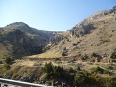 Enlarge photo 262