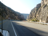 Enlarge photo 264