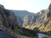 Enlarge photo 265