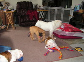 Enlarge photo 22