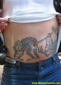 Funny Photos