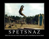 Motivational Posters