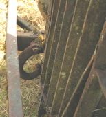 Enlarge photo 10
