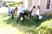 Enlarge photo 10