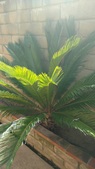 Enlarge photo 13